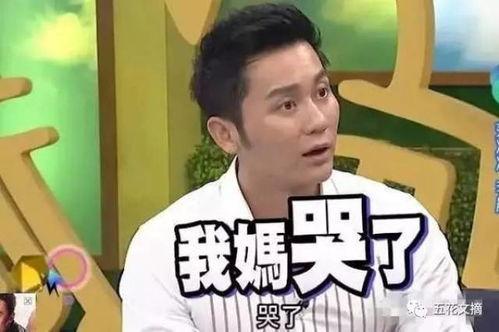 李晨爆料视频大全最新版,揭秘娱乐圈幕后真相